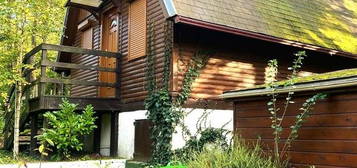 Chalet atypique  à vendre 3 pièces DARVAULT (77 140) Très proche de Nemours