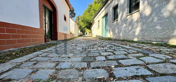 Verkostungsraum oder Heurigen?? Hier in der Kellergasse können Träume wahr werden!!