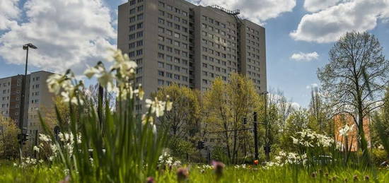 2 Zimmer Nähe Freizeitforum Marzahn