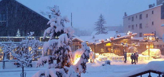 T2/4 pers/pied des pistes et du telemixte du diable aux 2 Alpes