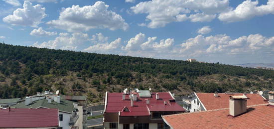 !!!  KONYA YOLU YAKINI ARAKAT ORMAN MANZARALI EYALI KRALIK DARE