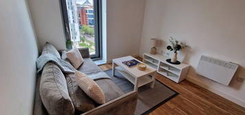 1 bedroom flat to rent