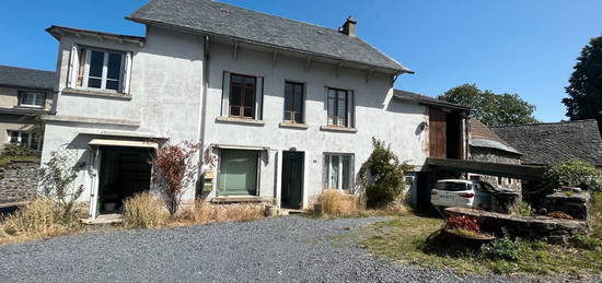 Marcenat Maison 220m² avec 2 appartements, un local, une grange, une écurie et un ancien moulin