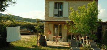 Maisonnette au milieu des vignes