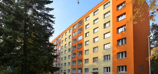 Byt 2+1, 55 m², Kodicilova, Praha