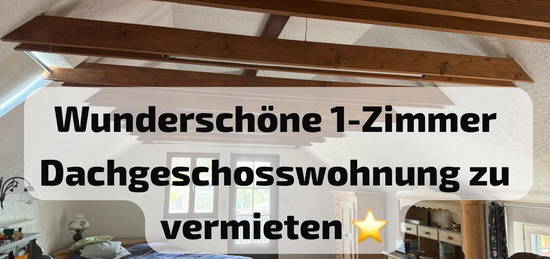 (Wochenendpendler-) Wohnung vollmöbliert in Iphofen