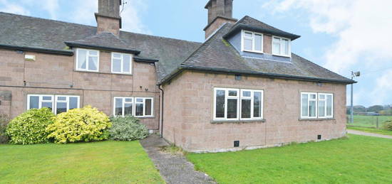 Terraced house to rent in Wetwood, Stafford ST21