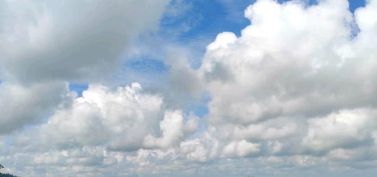 Sonnige und sehr ruhige Eigentumswohnung für Naturliebhaber