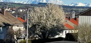 Blick auf das Alpenpanorama und die Stadt Kempten  A.5.3