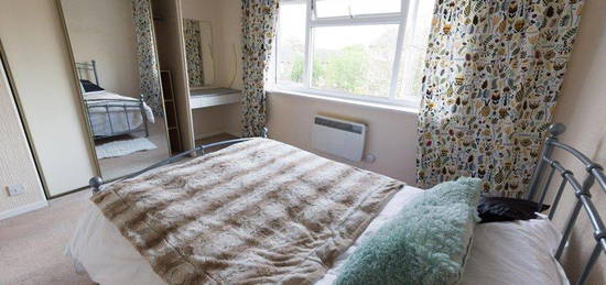 1 bed flat to rent