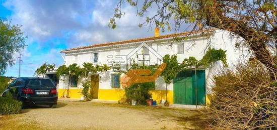 Finca rústica en venta en Vélez-Rubio