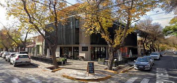 Hauser Alquila Hermoso Departamento En 5ta Sección
