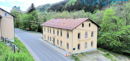 Prodej  rodinného domu 1 342 m², pozemek 1 090 m²