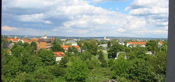 Helle 2-Raum-Wohnung mit Blick über Dresden