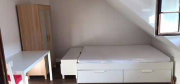 nettes kleines 1,5 Zimmer Apartement in Wangen