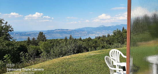 Studio Magnifique vue sur le lac Leman