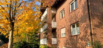 Provisionsfrei! Charmantes Souterrain-Apartment mit Terrasse zu vermieten