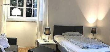 AB sofort frei ! Luxusviertel/ Helle 1- Zimmer-Wohnung/ fr. Balkon/ Erstbezug/ möbliert/ separate Küche/ nicht weit zum Bahnhof Blankense