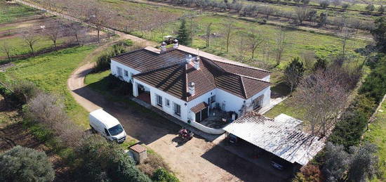 Chalet en calle Diseminado Los Obligados en Las Vaguadas - Urb. del Sur, Badajoz