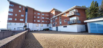 1 bed flat to rent