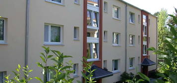 2 Zimmer Wohnung mit Balkon in Waldrandnähe und Nähe Panoramaradweg