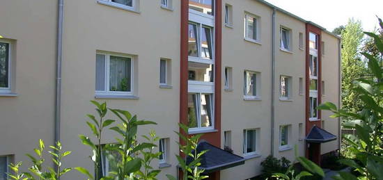 2 Zimmer Wohnung mit Balkon in Waldrandnähe und Nähe Panoramaradweg