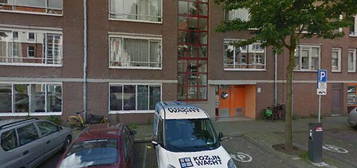 Nova Zemblastraat 409