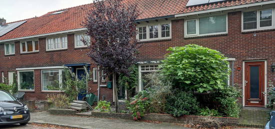 Wolfstraat 39