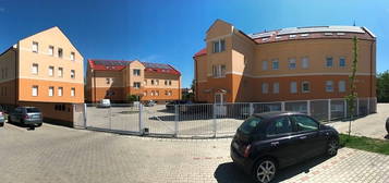 Nádorváros, Győr, ingatlan, kiadó, lakás, 37 m2