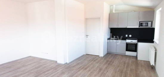 Pronájem bytu 1+kk 37 m², Karáskovo náměstí,