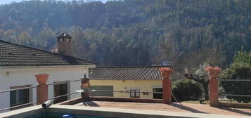 Casa o chalet en venta en Massanes