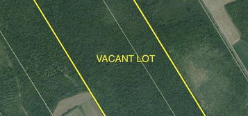 Vacant lot CH ST LAZARE RD, Sainte-Marie-De-Kent, New Brunswick