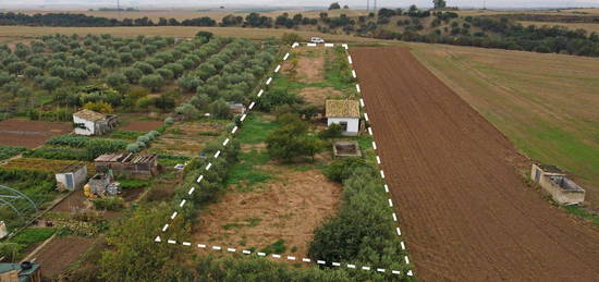 Finca rústica en venta en  Allo, 1