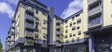 1 bed flat to rent