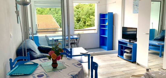 Grand studio calme 26 M2 avec loggia, proche place de Verdun