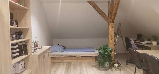 Pronájem bytu 1+kk 47 m² (Podkrovní)