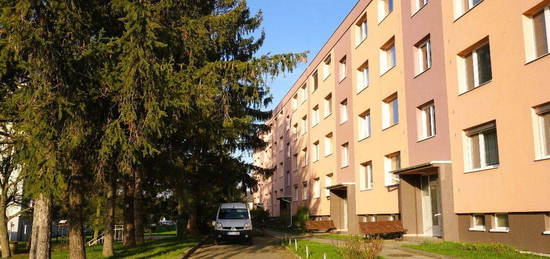 Byt 1+1, 37 m², Brodek u Přerova, 751 03