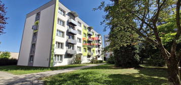 Prodej bytu 3+1 65 m²