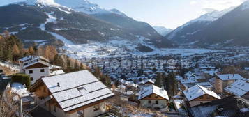 Villa unifamiliare via Giacinto Sertorelli, Centro, Bormio