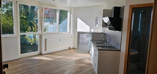 1 Zimmer Apartment zu vermieten in Bingen