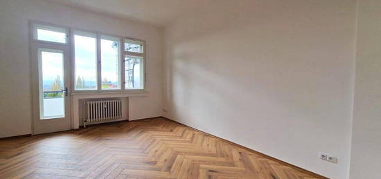 Pronájem bytu 1+1 37 m²