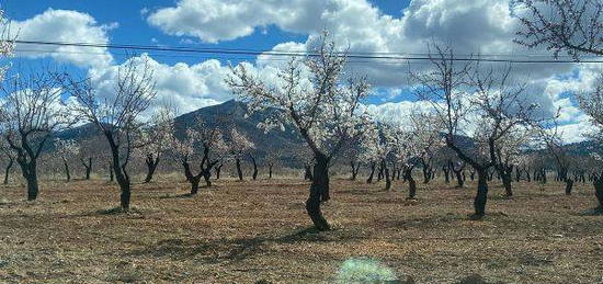 Casa rural en rambla Valdiquin en Gor