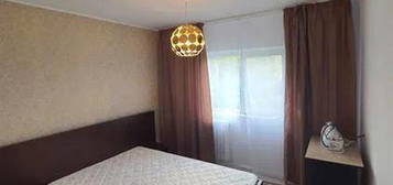 Apartament 2 Camere Centru Podul de Fier 5 Min UMF