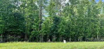 Lot 9 Hwy 24, Centreville, MS 39631