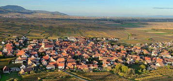 Maison terrain secteur vignoble