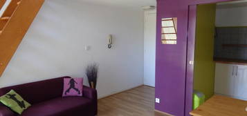 Location appartement 1 pièce 30 m²