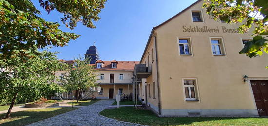 Schöne 3-Zi-Maisonette-Whg, Balkon, Stellplatz in Radebeul OT Niederlößnitz