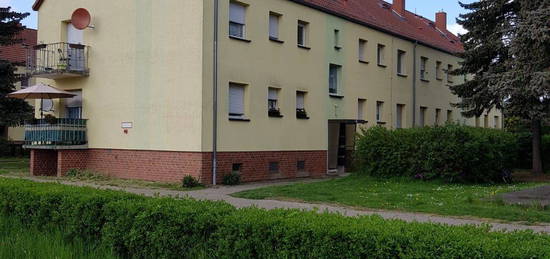 3 Raumwohnung in 39615 Seehausen Falkenberg 31