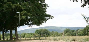 Wohnung in grüner Lage Bad Homburgs