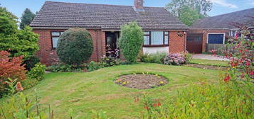 Detached bungalow for sale in Elms Close, Sandleheath, Fordingbridge SP6